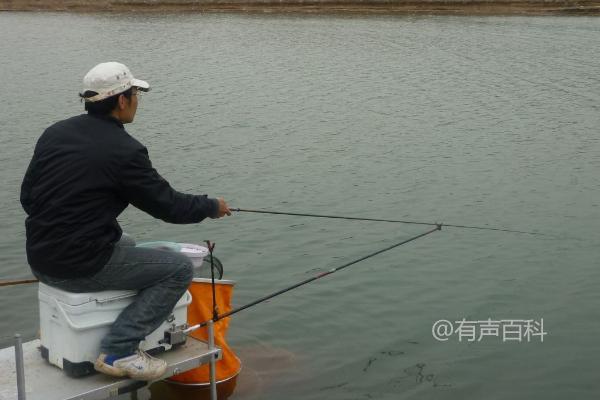 下雨前一天是否适合钓鱼？垂钓难度将会增加