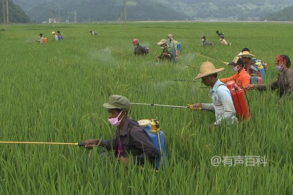 与哪些杀菌剂不能混用氟啶胺