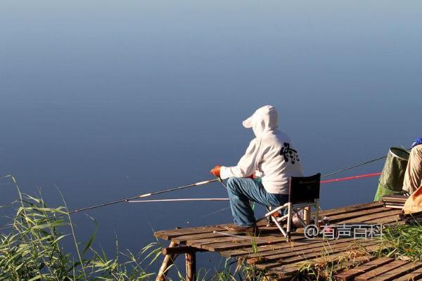 九江钓鱼时间及规定，能否在规定时间内垂钓