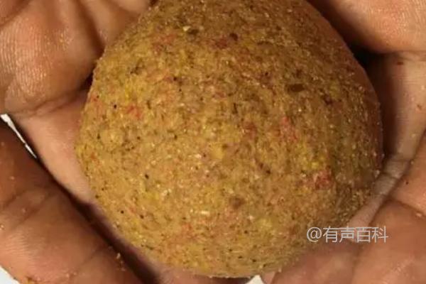 逗鲤鱼用什么饵更有效，活饵和谷物饵料均可