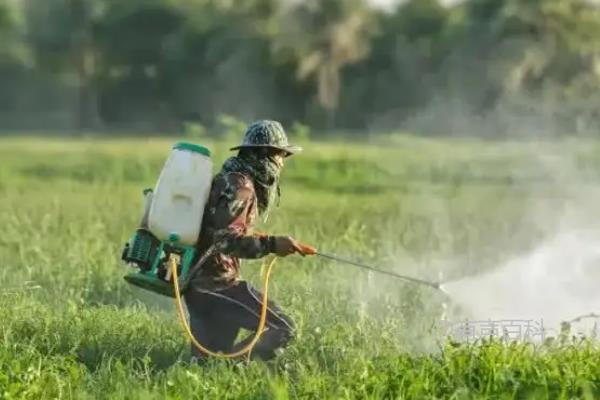 恶霉灵的灌根使用方法及防治病害效果