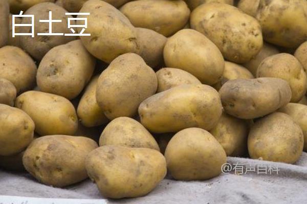 红土豆与白土豆对比：外观、营养、价格、口感完全解析