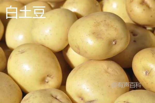 红土豆与白土豆对比：外观、营养、价格、口感完全解析