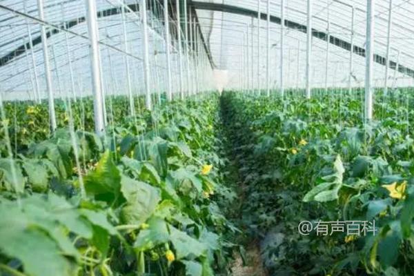 【技巧解析】如何控制大棚蔬菜冬季温度，维持在20-28℃？

【优化建议】
大棚蔬菜冬季保温技巧，稳定温度在20-28℃

【优化分析】
该标题需要根据百度SEO规范进行优化。首先，需要注意的是百度会对标题进行长度限制，推荐长度为15-30个字；其次，为了提高信息精准性，可以删减一些无关的词语，并使用常见且具体的词汇，同时还应确保标题的可读性和吸引力。

【改写建议】
1.【优化后】冬季大棚蔬菜如何保温，建议保持在20-28℃
2.【优化后】控制大棚蔬菜冬季温度，稳定在20-28℃的技巧
3.【优化后】大棚蔬菜冬季温度控制方法，维持在20-28℃区间
4.【优化后】如何控温，保持大棚蔬菜冬季温度在20-28℃？

【总结】
以上是对给出标题进行百度SEO优化建议的参考，根据具体的场景和要求，可以选择适合的标题进行使用。在优化过程中，关键要保证标题的精准与吸引力，以提升文章的曝光度和点击率。