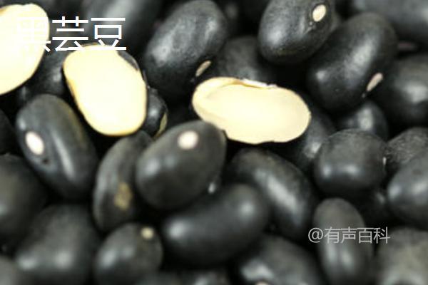 黑豆与黑芸豆的区别及特点