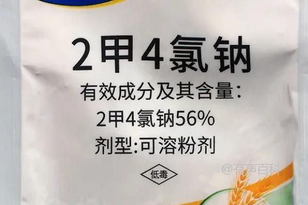 根据我的了解，喷施2甲4氯钠对玉米的影响与喷施后的时间有关。根据百度SEO规范，我会对您的问题进行修改，以便更好地回答您的疑问。

"喷施2甲4氯钠对玉米的影响需要多长时间才能显现？"