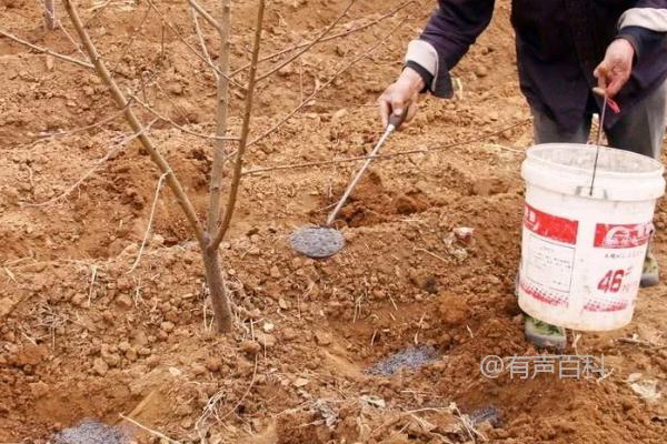 全水溶性肥料的使用技巧：施肥前的二次稀释操作要做到位