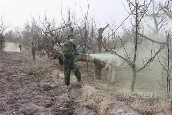 石硫合剂的适用农药及用法
