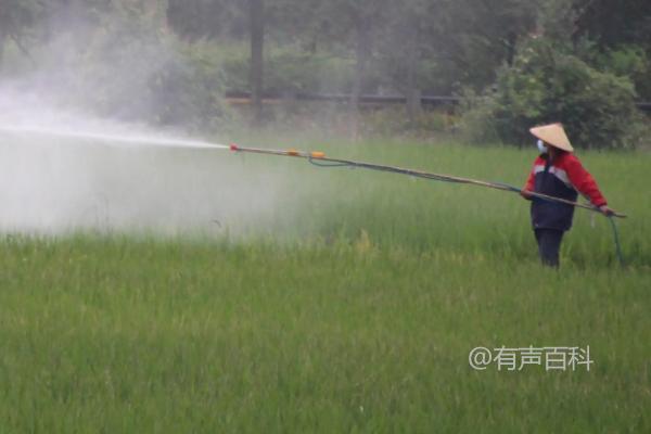 如何正确调配森锰锌与水的比例