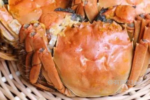 螃蟹死了多久可以食用？越久越不宜食用