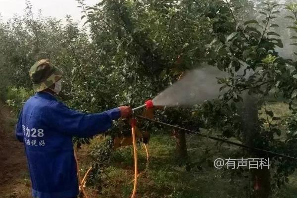 果园除草剂推荐：果农乐、禾草盖、春多多等产品