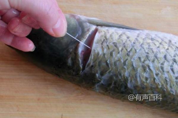 鲈鱼是否有鱼腥线？去除鱼腥线后可消除土腥味