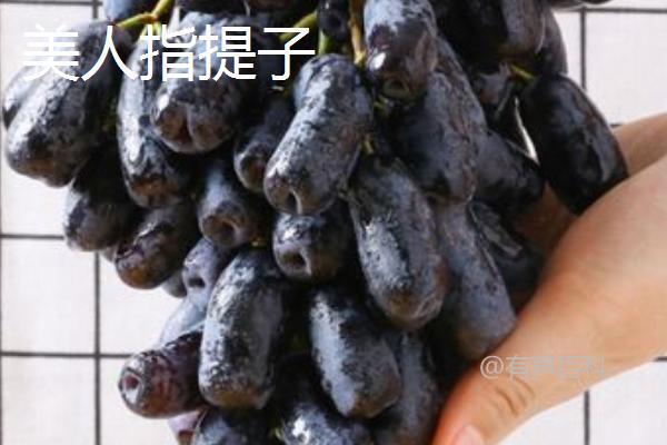 ### 如何保存提子以延长保质期至3-5天？