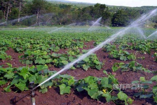 制作鱼蛋白肥料的方法