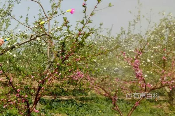 多菌灵是一种杀菌剂，通常用于农作物的防治。根据多菌灵的使用说明书，一般情况下，500毫升水兑1克多菌灵。因此，500毫升水兑多菌灵的比例为1:1。