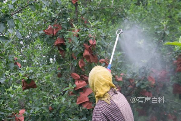 如何防治进入花期的套袋红富士苹果的病虫害，应根据实际情况采取相应措施