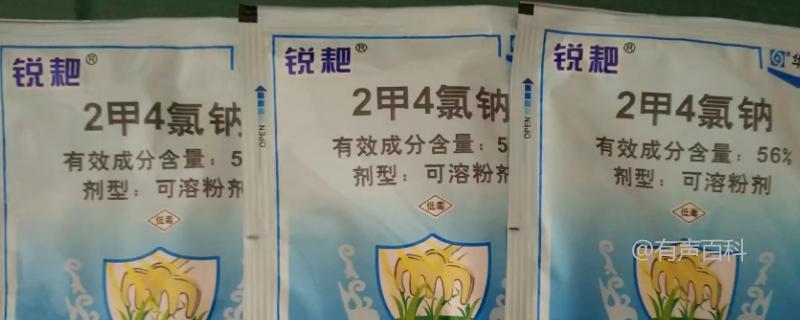 喷施二甲四氯钠对水稻倒伏有影响吗？