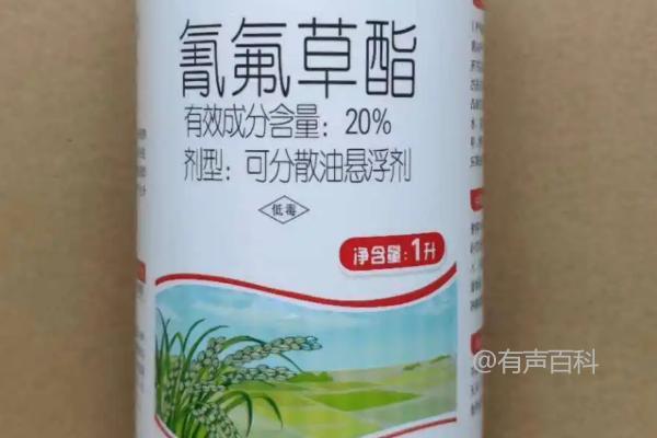 氰氟草酯是什么，哪种药物的药害较低？