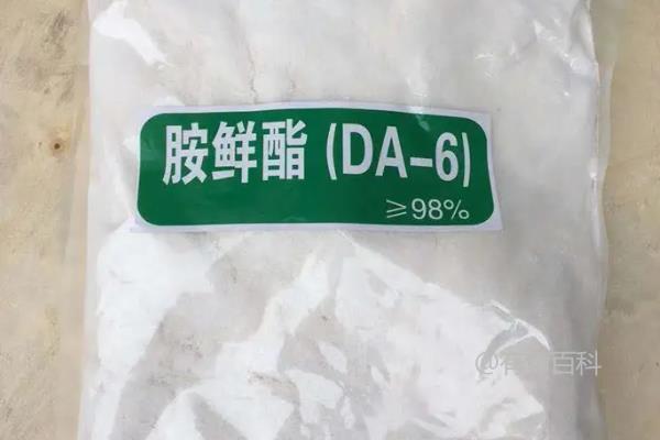 胺鲜酯的作用与功效详解