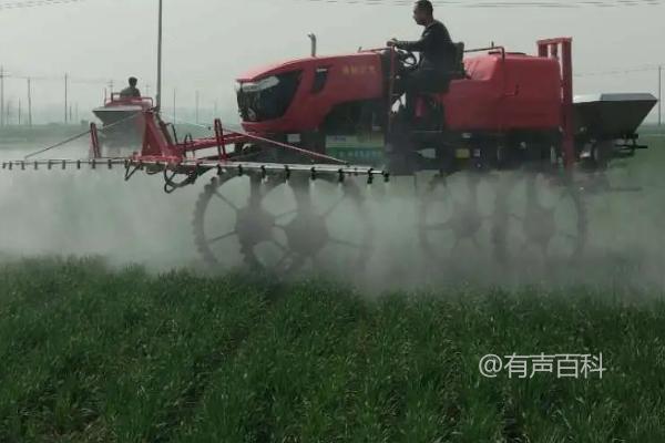 小雨天气下使用玉米除草剂效果更好吗？