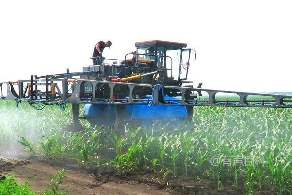 小雨天气下使用玉米除草剂效果更好吗？