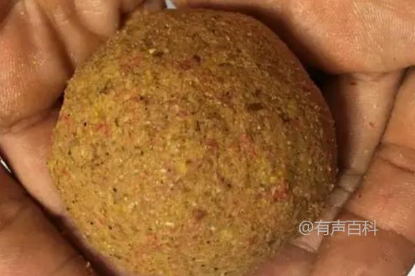 冬季15度下能否垂钓鲢鱼，可钓但难度较高