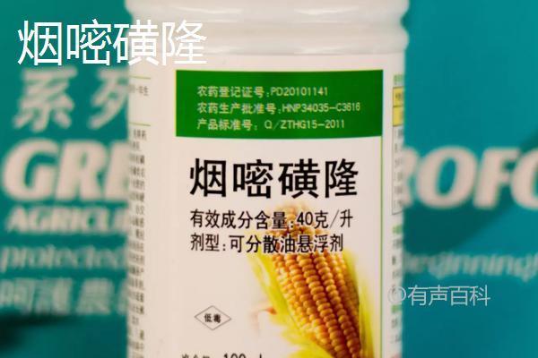 玉米田除草剂推荐：大草怎么除？