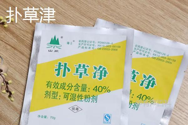 玉米田除草剂推荐：大草怎么除？