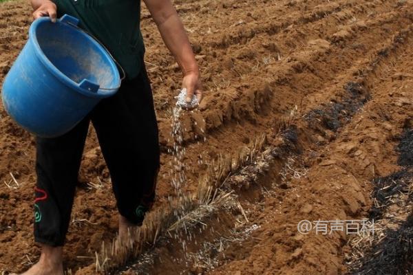 当你购买和使用微生物肥料时的注意事项及许可证查看建议