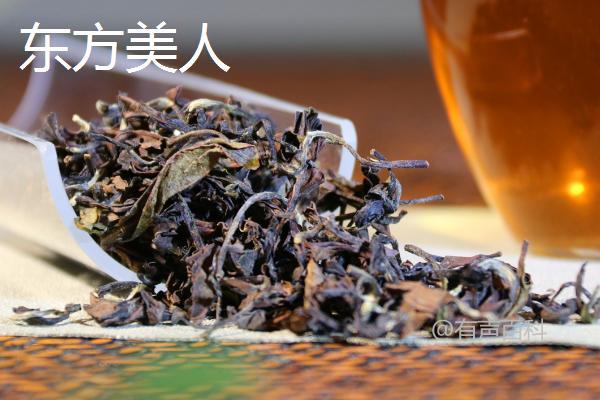 青茶的种类有哪些