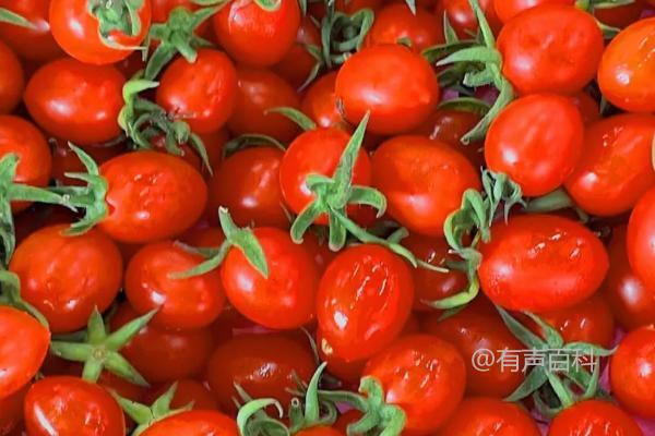 夏季种植蔬菜如何防高温，高秆作物套种可以降温遮阳