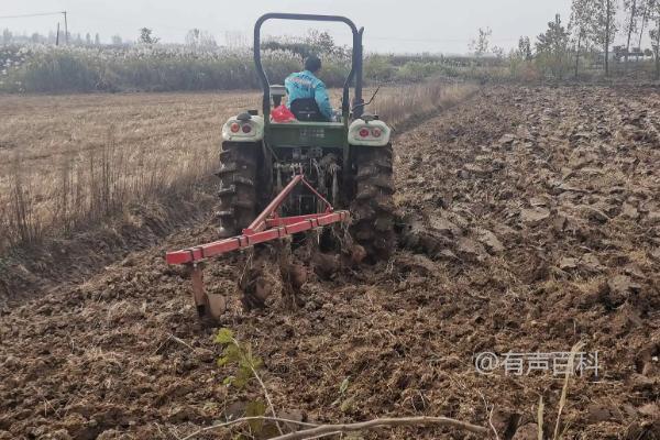 如何去除碱地的碱性