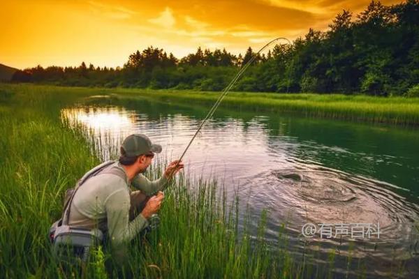 海竿钓花鲢的最佳水深范围一般在1-3米之间