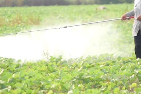 种植大豆的施肥方法，种植前和生长期都需科学施肥