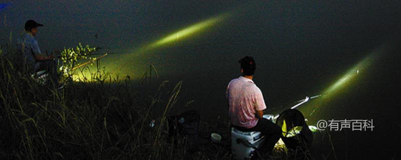 夏夜钓鱼最佳时间选择及时段