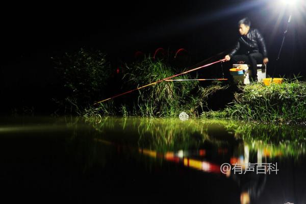 夏夜钓鱼最佳时间选择及时段