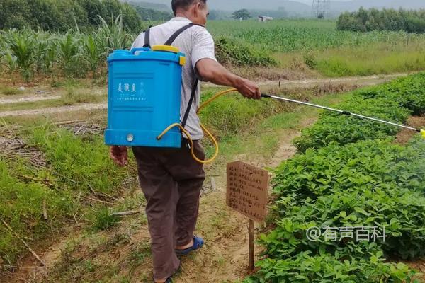 花生首次施药的时间及注意事项