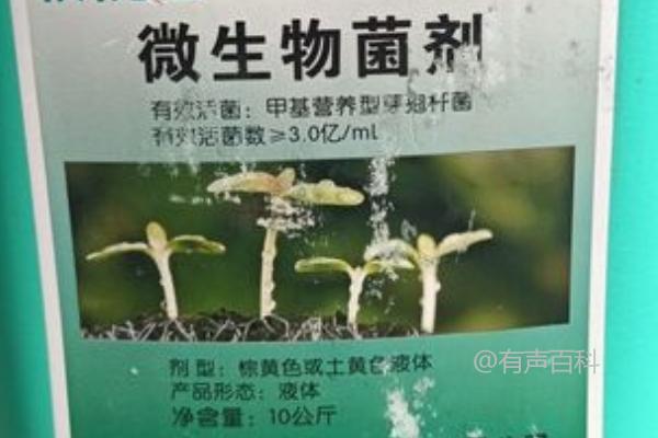 微生物菌剂与复合肥的正确使用方法分享