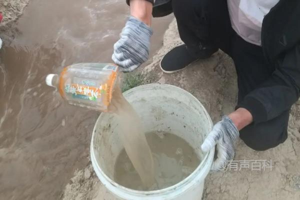 果树水溶肥的正确使用方法