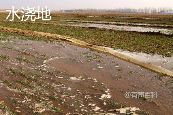 不符合规范，建议修改为：不同类型的耕地