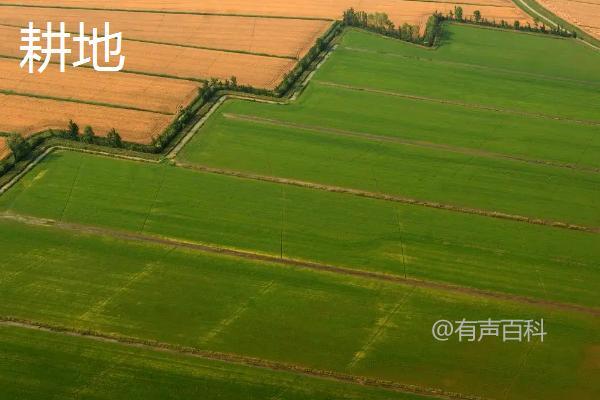 不符合规范，建议修改为：不同类型的耕地