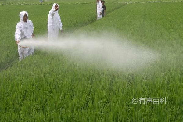 噻螨酮的特点及作用特性：具有胃毒和触杀作用，可穿透植物表皮层