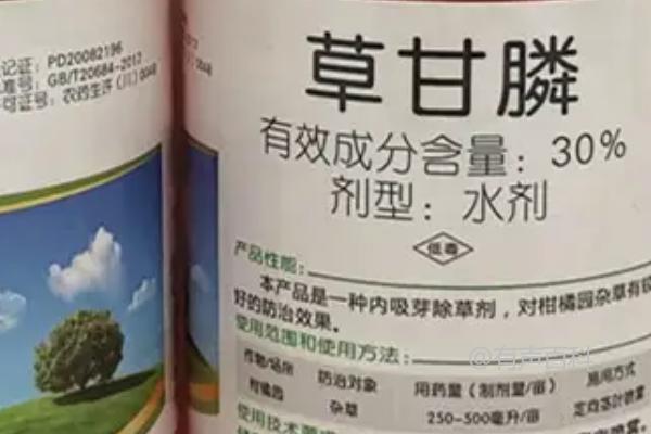 草甘膦中毒常见症状包括恶心、呕吐、过敏等