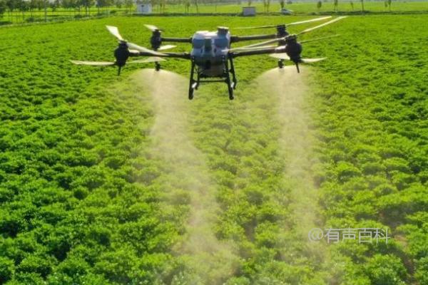 除草剂伤苗后如何恢复，快速除草和化学解毒方法