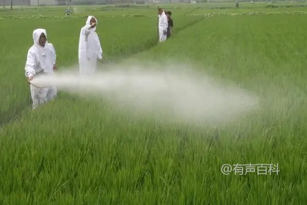 水兑赤霉素的比例是按重量比例来计算的，通常是1公斤水兑1克赤霉素。所以，30斤水兑赤霉素的比例是30公斤水兑30克赤霉素。