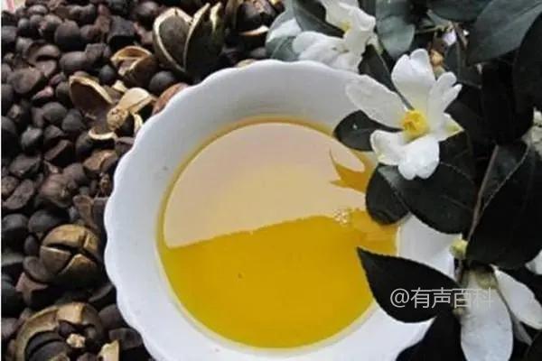 茶油有没有保质期？正确保存方法是什么？