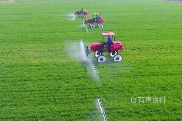 多菌灵是一种广谱杀菌剂，主要用于农作物的病害防治。其主要作用和用途包括：

1. **杀菌作用**: 多菌灵可以有效防治多种真菌病害，如锈病、霜霉病、黑斑病等，对作物的保护效果显著。

2. **用途**: 主要用于水稻、小麦、玉米、果树、蔬菜等农作物的防治，可用于种子处理、土壤处理以及叶面喷雾等多种方式。

3. **正确使用方法**:
   - **稀释浓度**: 按照产品说明书或专业建议，将多菌灵粉剂或液剂稀释至指定浓度。
   - **喷雾时机**: 根据病害类型和作物生长阶段，选择合适的喷药时机，通常是在病害初期或发病高峰前进行预防性喷雾。
   - **安全间隔期**: 注意使用安全间隔期，避免在收获前过近的时间内施用，以确保农产品质量和安全。
   - **防止抗药性**: 避免长期单一使用多菌灵或者频繁使用同类杀菌剂，以减少病原体对药剂的抗性产生。

正确使用多菌灵可以有效提高农作物的产量和质量，减少病害损失，但使用过程中需严格遵守产品说明书和农药安全使用规范。