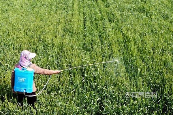 如何正确使用乳油型农药，拌种方法及杀菌效果