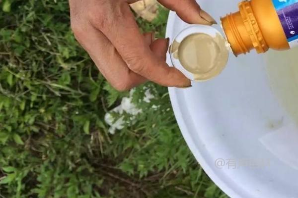 如何正确使用乳油型农药，拌种方法及杀菌效果