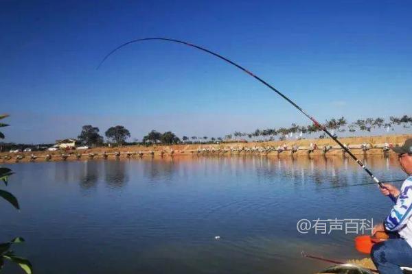 海钓鲈鱼的最佳水深范围是10-40米